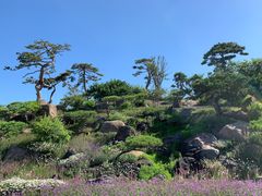 -罗红摄影艺术馆