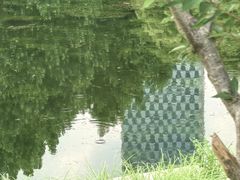 -大望京公园