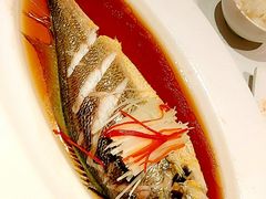 黄鱼-悦融琥珀·京鲁菜·海味珍品(西单店)
