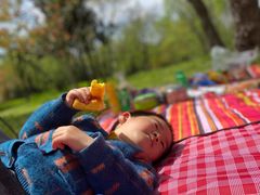 -蜀冈西峰生态公园