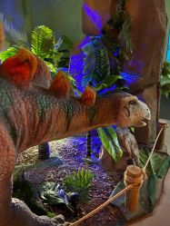 -恐龙探索乐园(磁器口店)