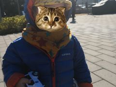 -玲珑塔公园