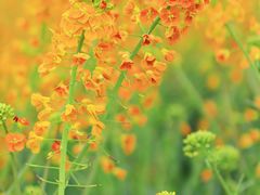 -中国天府农业博览园