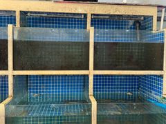 -威海渔村(黄兴路店)