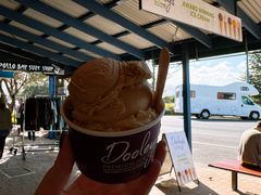 -Dooley's Premium Ice Cream