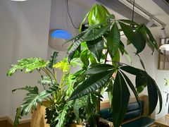 -米国现煲煲仔饭(塔子湖店)