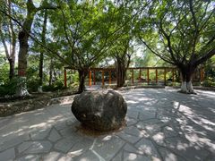-燕晗山郊野公园