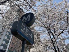 -华中科技大学光谷体育馆