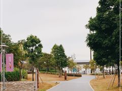 -宝安西湾红树林湿地公园