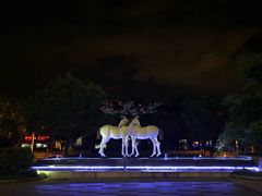 -鹭江潮餐厅•福建菜(鹭江佲家酒店)