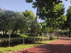 -滨湖塘西河公园