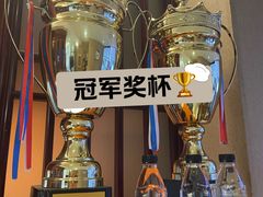 -天猫养车贴膜轻改·蓝电(优匹康桥东路店)