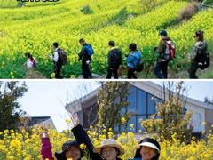 -上海山野camping·户外天幕烧烤·团建拓展营地