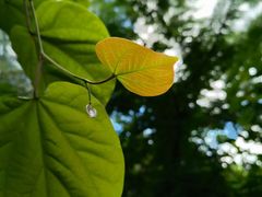 -昆明市金殿名胜区