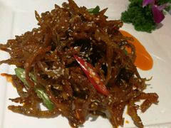 -吉布鲁牛排海鲜自助(武侯泛悦国际店)