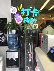 -悟空祛痘·诺奖技术专业店