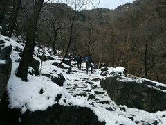 -阳台山自然风景区