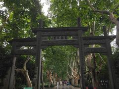 -杭州黄龙洞
