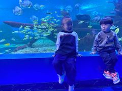 -石林冰雪海洋世界