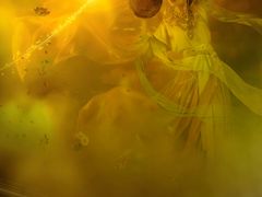 -九月鹰飞汉服摄影工作室