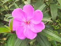 -火炉山森林公园