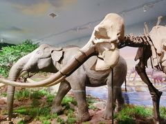 -湖南省地质博物馆