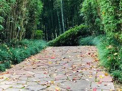 -天目湖涵田度假村