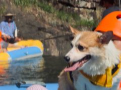 -安吉龙王山峡谷漂流