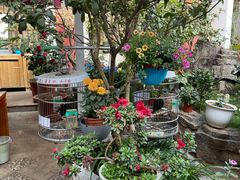 -桥馫源蒙自过桥米线(蒙自店)