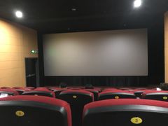 -CMC大光明影城(莲花店)