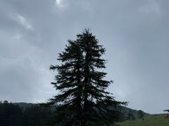 -芦芽山旅游度假区