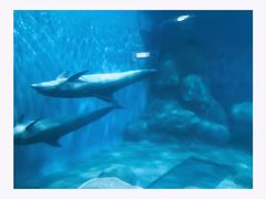 -福州罗源湾海洋世界旅游区