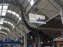 -奥黑尔国际机场