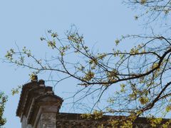 -老门东历史文化街区