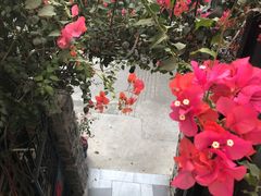 -厦门燕子坞客栈