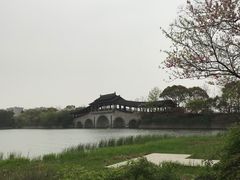 -长广溪湿地公园