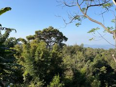 -清迈丛林飞跃 JungleFlight