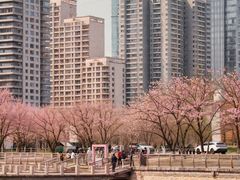 -西北湖绿化广场