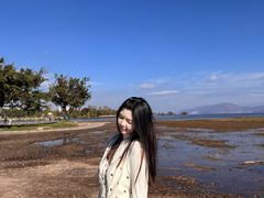 -洱海月湿地公园