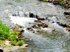 -羊山湖公园