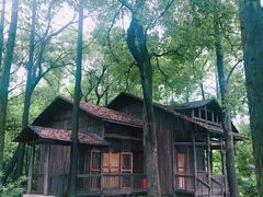 -东湖落雁景区