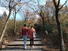 -江南天池
