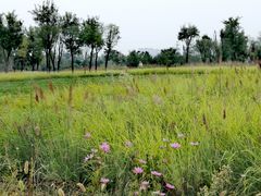 -汉长安城未央宫国家考古遗址公园