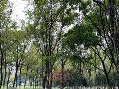 -后襄河公园
