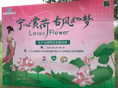 -大宁公园