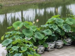 -奉贤海滩