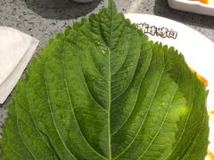-韩时烤肉(枫蓝店)