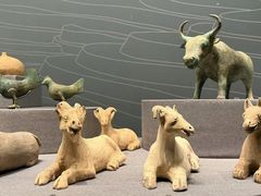 -广西壮族自治区博物馆