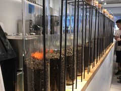 -喜茶(佛山岭南站店)