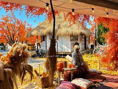 -Blue Concept Cafe&Farm·關於藍